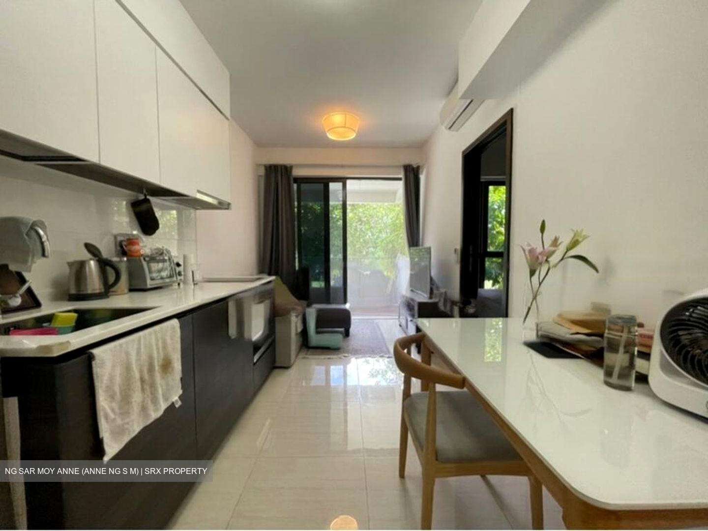 Sims Urban Oasis (D14), Condominium #477547271